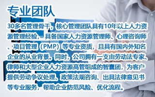 专业团队